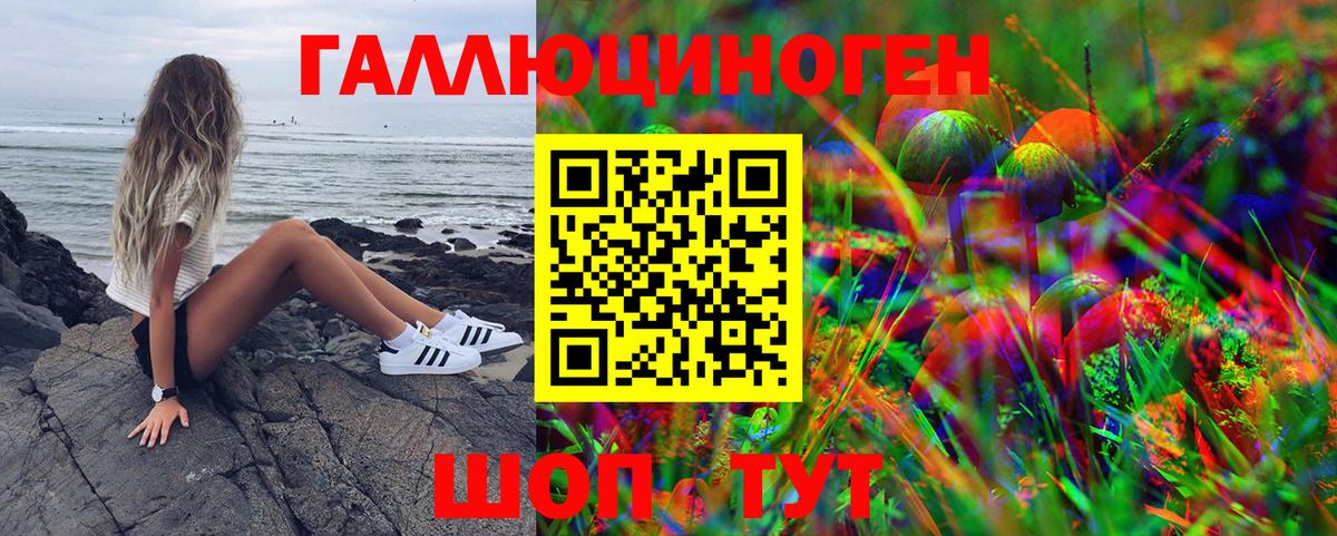 Краснознаменск  Псилоцибиновые грибы Psilocybe  Вход с VPN 