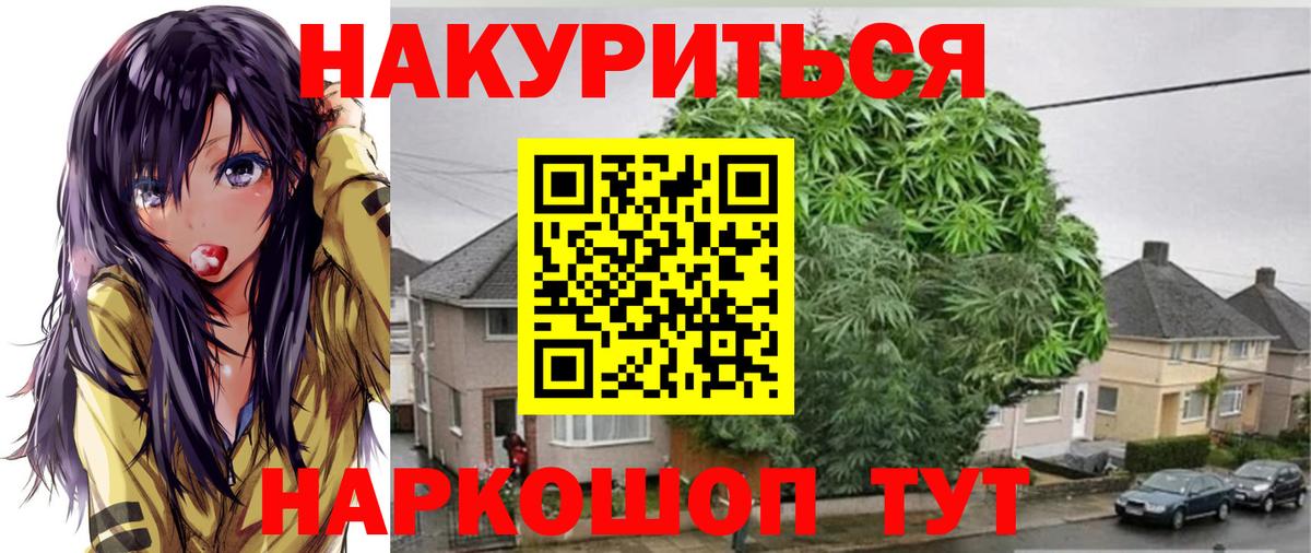 МАРИХУАНА гибрид Краснознаменск